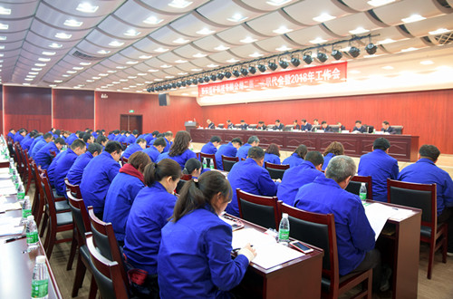 公司所属各单位迅速传达贯彻落实公司“两会”精神
